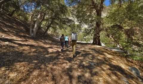 Three people hike up a hill through the forest