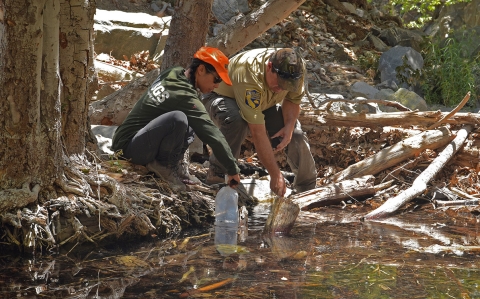 Two uniformed people at the creek's edge dip plastic containers into the water