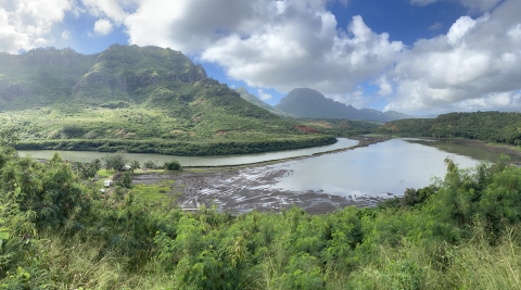 Mountains kiss the sky. A river runs below. A river that was once choked with invasive mangrove trees is starting to open up once again.