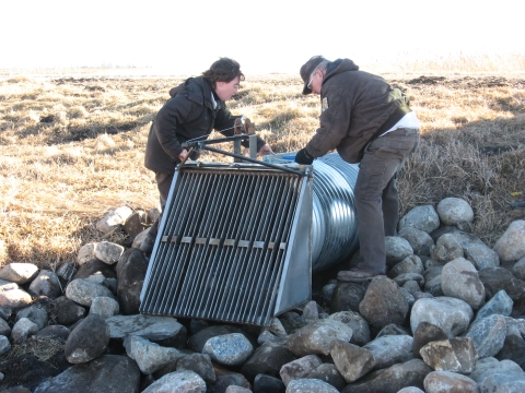 Two staff stand in a dry wetland at the end of a culvert covered with a fish barrier