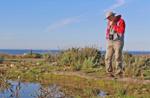 Man is standing next to pond peering down into it.