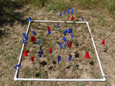 Red and blue marker flags placed inside of a square