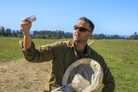 A man looks at a small beetle in a container