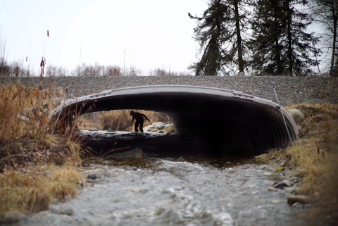 A person is walks through a large wide culvert that passes under a gravel road. A small river runs through the culvert.