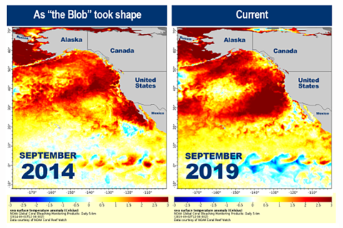 2014 and 2019 blob comparison