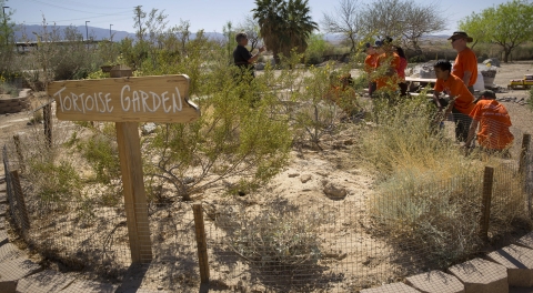 Several children in orange t-shirts standing in fenced-in garden