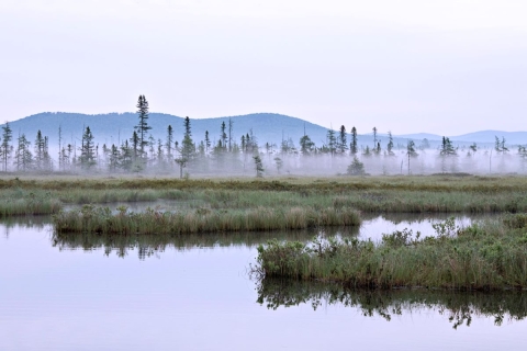 Harpers Meadow at Umbagog NWR