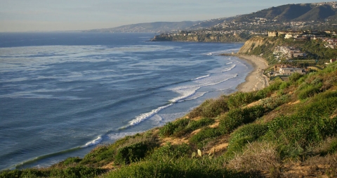 Landscape of beach cliff covered in green plants and rolling tide