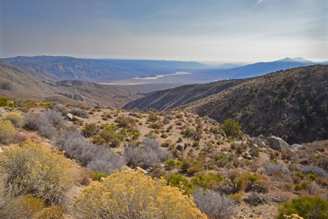 A valley surrounded by mountains with yellow bushes.