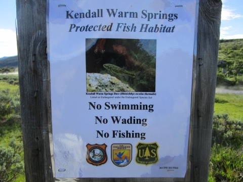 A sign stands in front of a stream, reading "Kendall Warm Springs Protected Fish Habitat, No Swimming, No Wading, No Fishing."