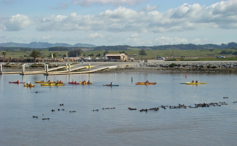 Kayakers on the water