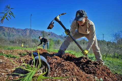 A biologist wielding a garden pick