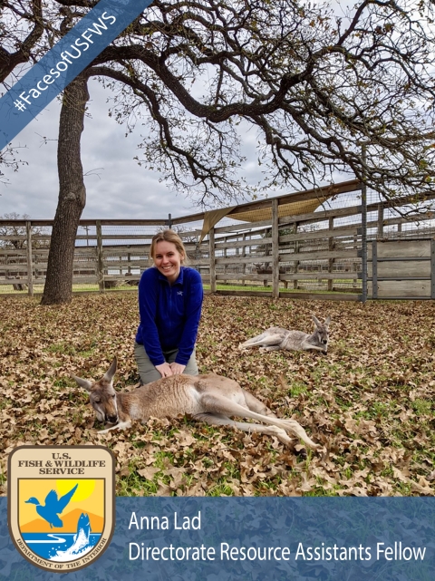 A girl sits with a kangaroo. A banner says "#FacesofUSFWS". Another banner says "Anna Lad, Directorate Resource Assistants Fellow