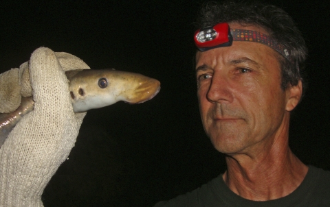 a man looks at a hand holding a lamprey