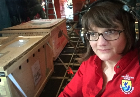 Woman in red uniform shirt sits next to two large, wooden crates