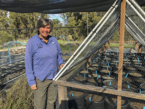 A woman standing next to pots of plants