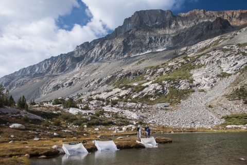 white net pens dip from the shore into the edge of a mountain lake. Large mountains loom in the distance. 