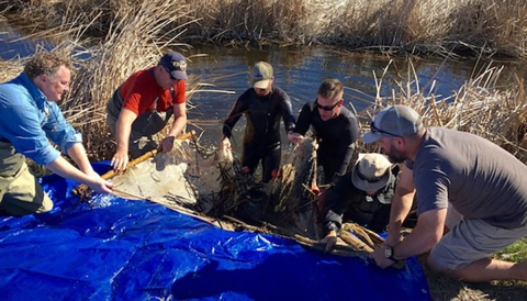 Multiple people hold a large, blue tarp at water's edge