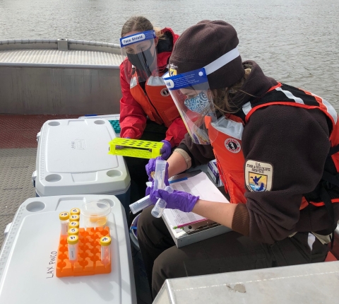 Biologists prepare tubes for water samples during an eDNA sampling event.