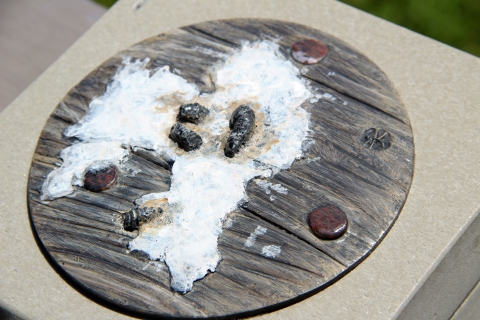 A round display preserves (or mimics) the look of white bird poop from a yellow-crowned night heron.