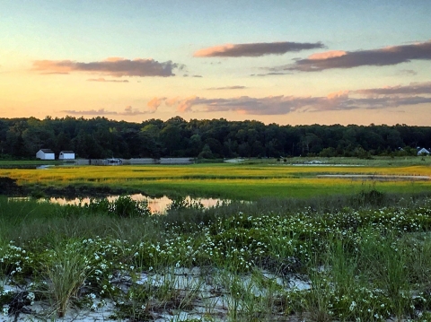 Marshy coastal view with sun rising in the background