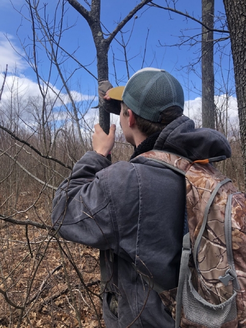 A field technician in a forest