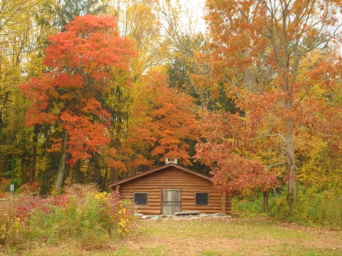 a wooden cabin tucked into a colorful wood