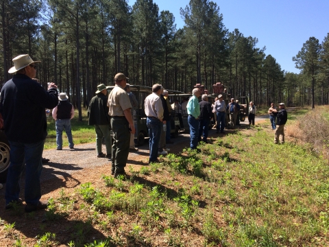 Landowner meeting with landowners standing on a dirt road around their vehicles while listening to someone talking about the habitat while standing in the right of way.