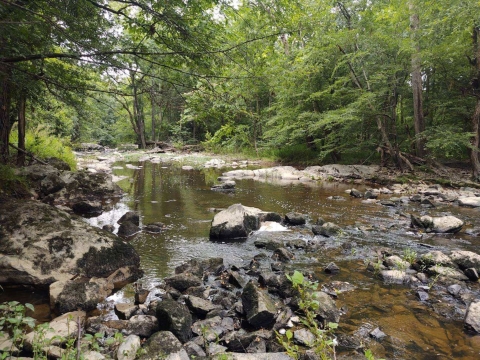 Collection site for Cape Fear Shiners, Deep River in NC.