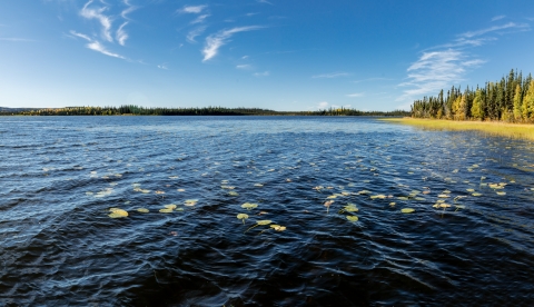 a northern lake with fall colors