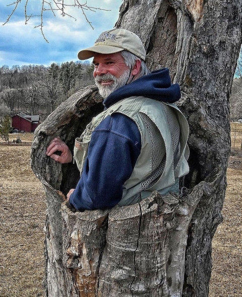 A funny photo of a man standing inside a large hole in the trunk of an apple tree