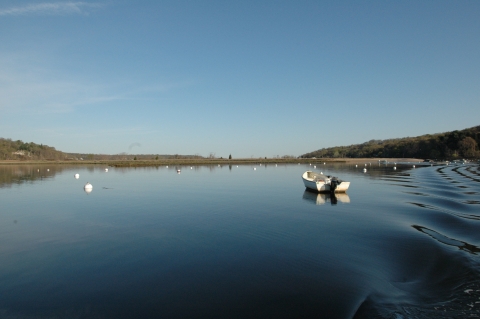 A lone boat moors on the astill waters of the refuge