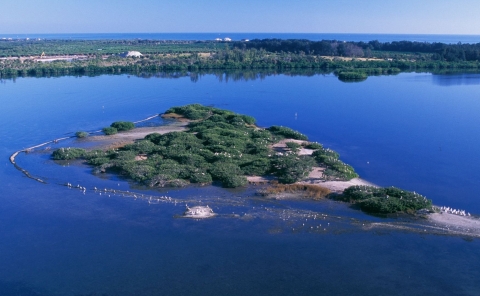 Aerial view of a small island with sand and green vegetation on it, surrounded by deep blue water