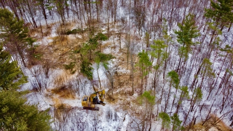 Habitat Restoration | U.S. Fish & Wildlife Service