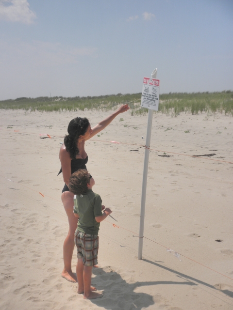 Two visitors view the closed area sign and learn about beach nesting birds