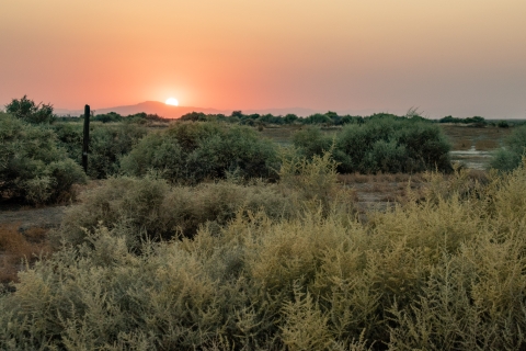 The sun sets behind a low mountain with an arid landscape and low lying shrubs in the foreground.