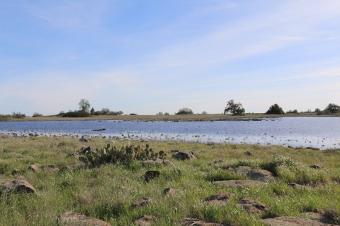 Large vernal pool at Santa Rosa Plateau Ecological Reserve