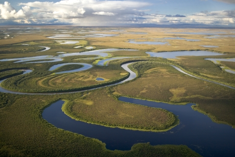 wetlands sprawl out across the landscape from above