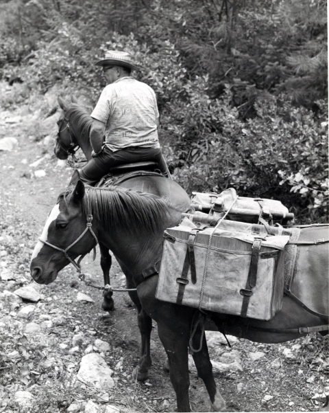 Black and white photo of an older man in short sleeved shirt and a brimmed hat riding a horse up a rocky trail, leading a second horse loaded with two rectangular containers in canvas carriers.