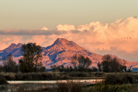 Low mountains glow in sunset light with trees and a wetland in the foreground and storm clouds forming in the background. Several ducks fly by in the distance.