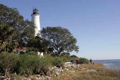 Grassy beach on the right tall trees and a lighthouse on the left. 