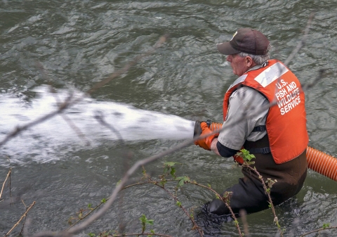 a man standing in a river with an orange tube with water and fish spraying out of it