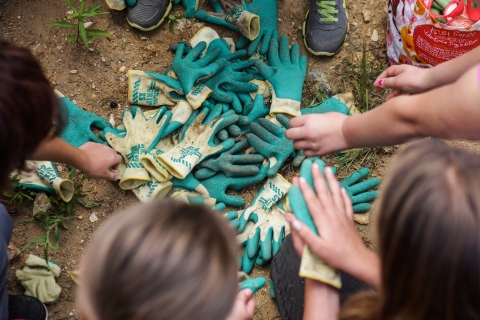 Numerous people reaching toward a pile of gardening gloves