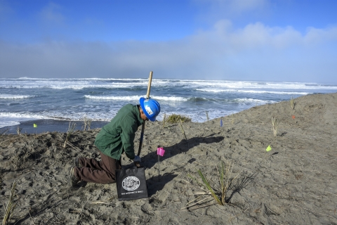 A person kneels on a sand dune with the ocean in the background.