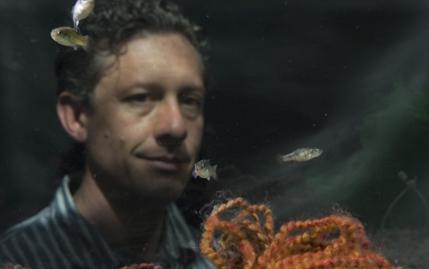 a man looking at small fish in a tank