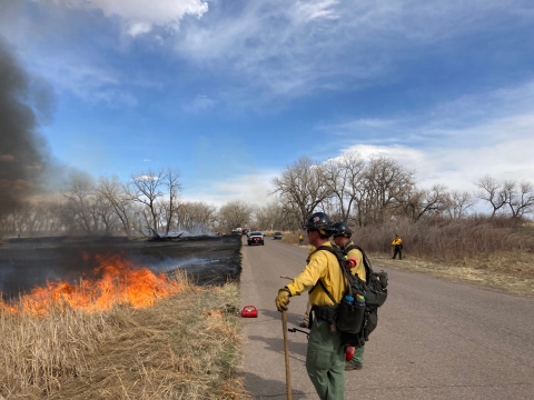 Two firefighters standing on a road watching a fire burn through grassland