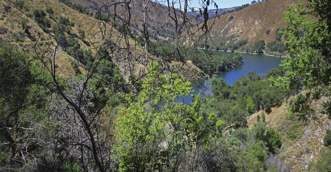 Landscape photo of a river wth a forested hill in the background.