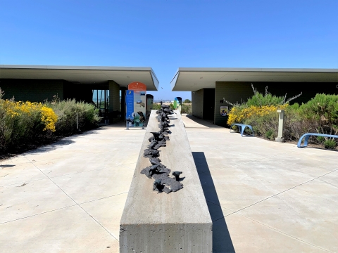 Two Complex headquarter single-floor buildings. Leading up to the buildings is a concrete, rectangular waist-high structure with metal art piece of birds running from one end to the next followed by tall information panels near the buildings.