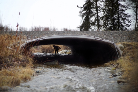 a woman walks through an arched culvert with a stream running through it