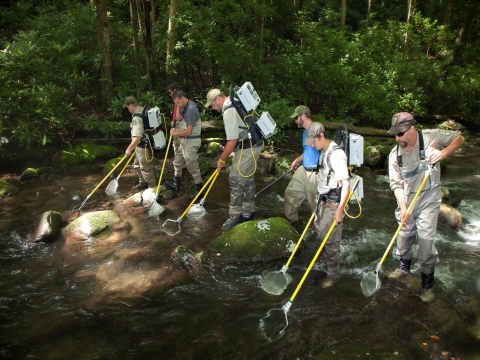 Electrofishing stream